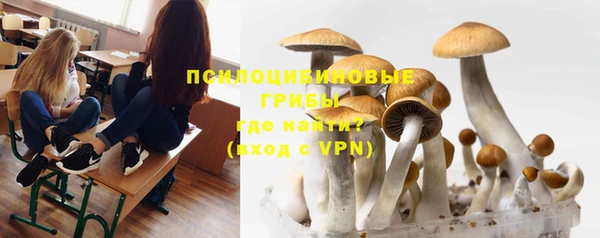 MESCALINE Богородицк