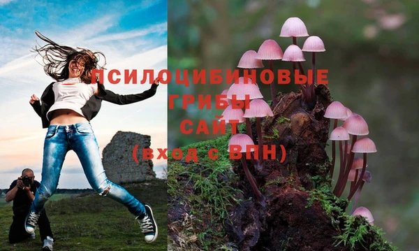 хмурый Богородск