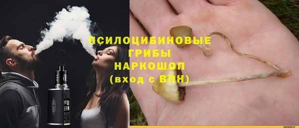 хмурый Богородск