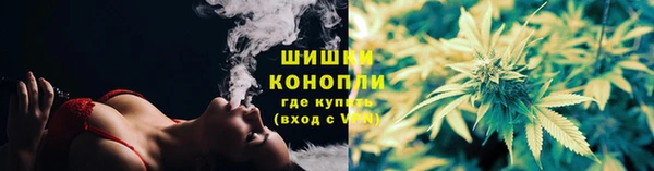 хмурый Богородск