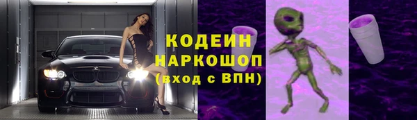 хмурый Богородск