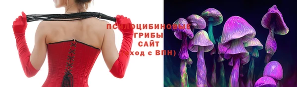 амфетамин Богданович