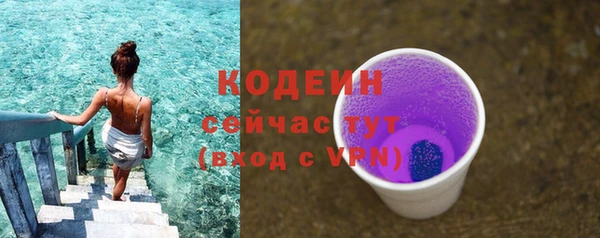 хмурый Богородск
