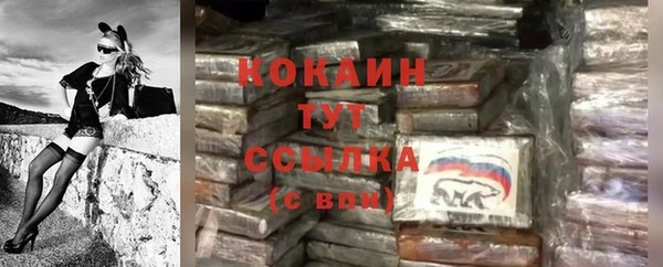 хмурый Богородск