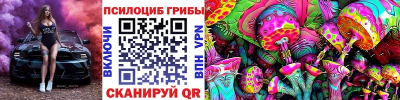Купить где Омутнинск Псилоцибиновые грибы мицелий